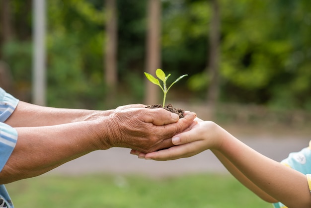 CSR Flagship Program Creation